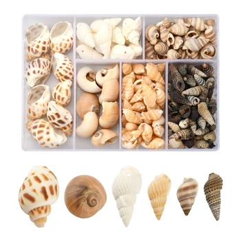 Väike Conch Beads Natural Sea Tigu Seashell Tarvikud Augud Naiste DIY Käevõru, Kaelakee, Ehete Osad, 1 Karp 